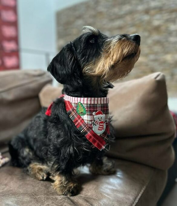 412496753_1230932917828428_1271399045739010292_n